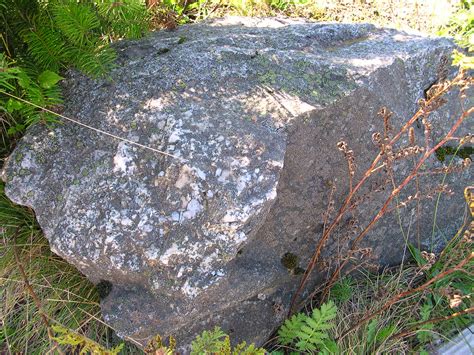 Granodiorite - Chilliwack Batholith | Formation: Chilliwack … | Flickr