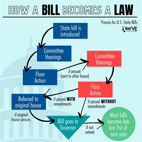 How a Bill Becomes a Law in Your State: Infographic