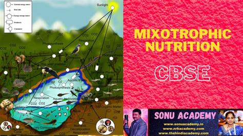 MIXOTROPHIC NUTRITION | CBSE | CLASS-X | BIOLOGY | @NANDITHA.AKUNURI # ...