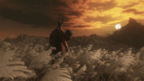 Finally finished Sekiro, amazing game : r/Sekiro