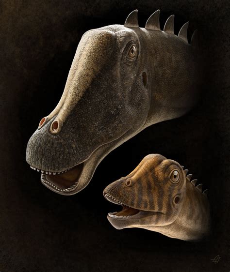 Species New to Science: [Paleontology • 2018] The Smallest Diplodocid Skull Reveals Cranial ...