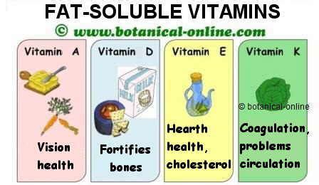 Foods High In Fat Soluble Vitamins