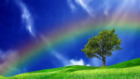 Rainbow Sky Wallpapers - Top Free Rainbow Sky Backgrounds - WallpaperAccess