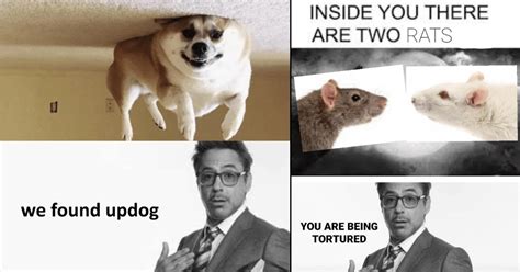 Memebase - robert downey jr - All Your Memes In Our Base - Funny Memes ...