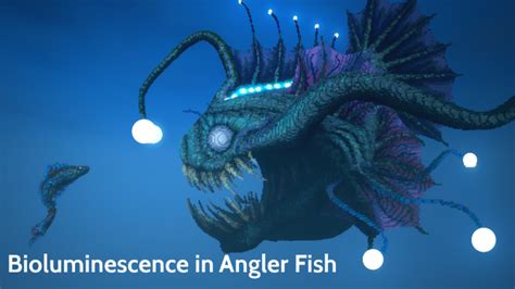 Bioluminescence in Angler Fish by Jason Tran on Prezi