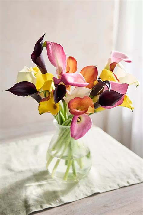 Fresh Calla Lily Bouquet | AnthroLiving