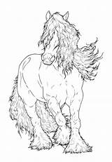 Gypsy Vanner Coloring Pages At GetColoringscom  Free Printable sketch template