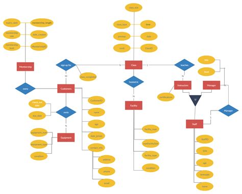 Gym Management Program with Attributes | Relationship diagram, Management, Diagram