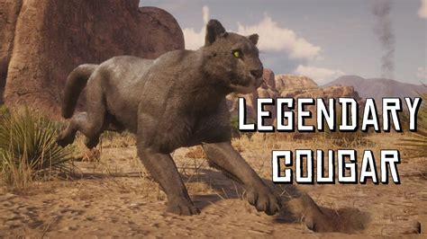 Hunting Legendary Cougar - RDR2 - YouTube