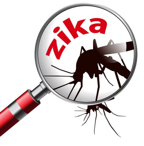 Zika Virus Symptoms: What You Need to Know - University Health News