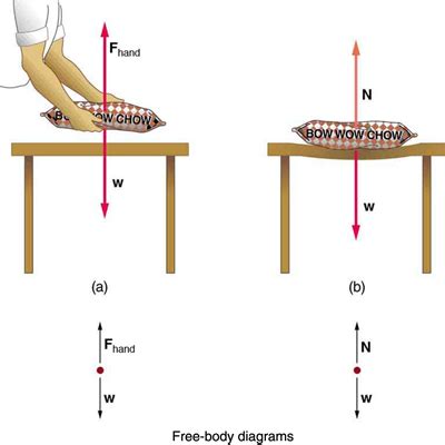 Normal, Tension, and Other Examples of Forces | Physics