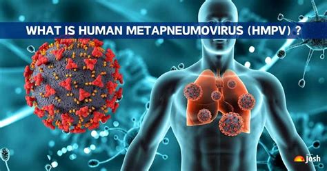 What is Human Metapneumovirus (HMPV)? Check Symptoms, Causes, and Treatment Explained Here