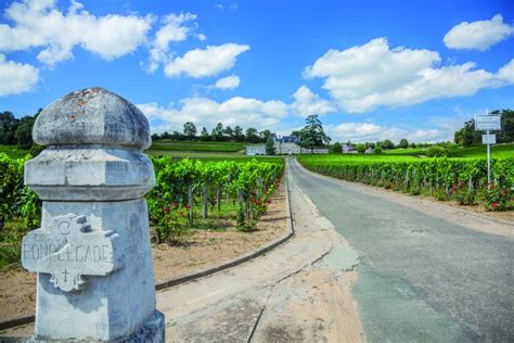 From Bordeaux, Full-Day St Emilion Wine Tasting Tour - SuiteTrails