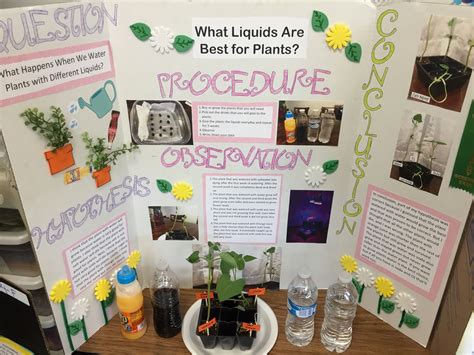 Science Fair Projects Using Plants