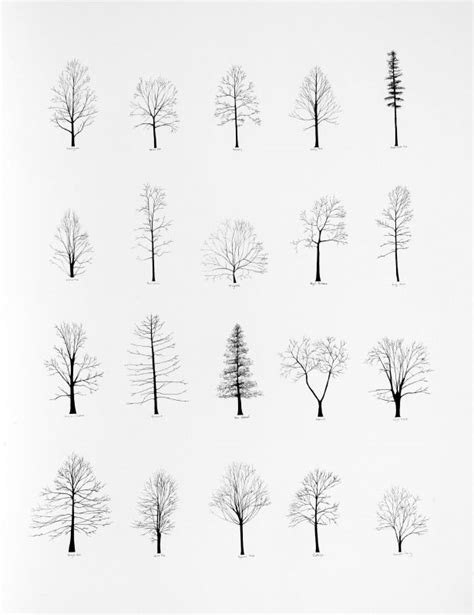 ~ simple. pure. perfect. everlytrue: Trees [by Katie Holten ...