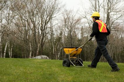 Winter Lawn Fertilizer - Landscapers - TalkLocal Blog — Talk Local Blog