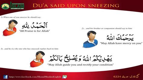 Hisnul Muslim Dua upon Sneezing - حصن المسلم دعاء العطاس - YouTube