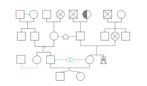 The genogram as follow depicts the family relationships among three generations. Family ...