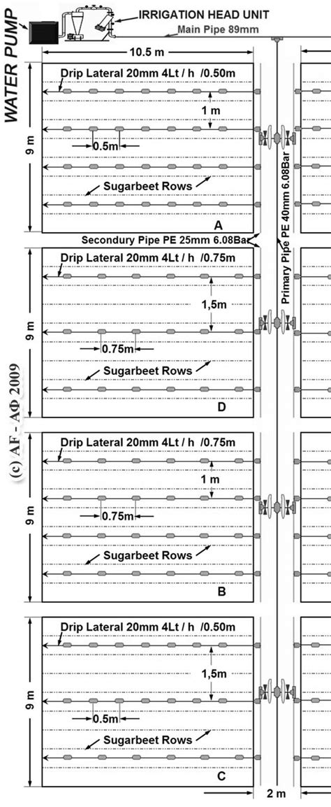 Details of the layout design and of the drip irrigation system. | Download Scientific Diagram