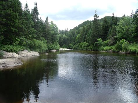 Climate change study finds New Hampshire's warmer weather will bring warmer streams