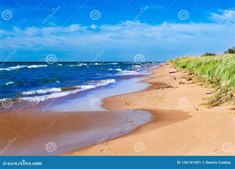 Ludington Beach Trail, Ludington State Park Stock Image - Image of ...