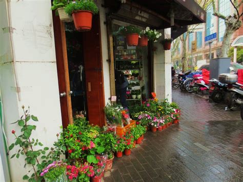 Rediscovering Shanghai in the French Concession