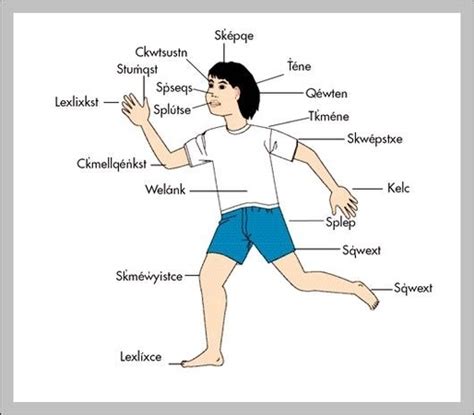 body parts - Graph Diagram