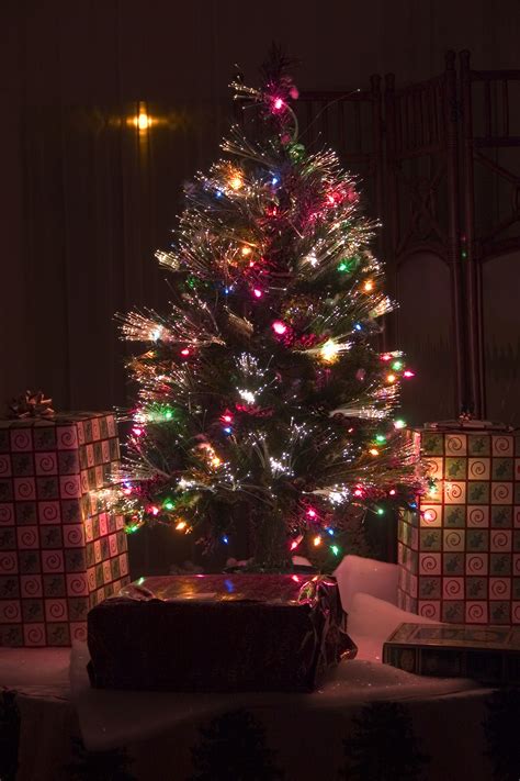 File:Fiber-optic Christmas tree.jpg - 維基百科，自由嘅百科全書