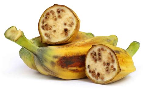 Prehistoric people started to spread domesticated bananas across the world 6,000 years ago