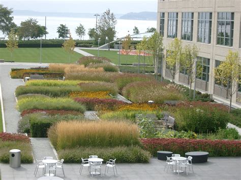 Linear bands of native planting and seating area pockets at Amgen ...