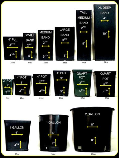 Standard Plant Container Size Chart / This is an excellent size to ...