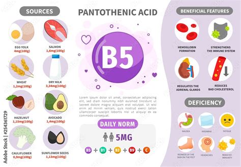 Infographics Vitamin B5. Products containing vitamin. Daily norm ...