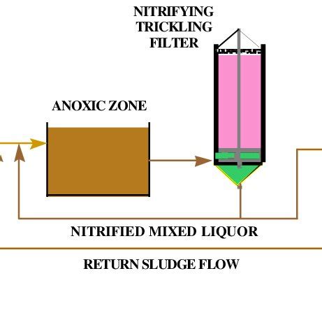 Process diagram of the combined trickling filter/reed bed process. | Download Scientific Diagram