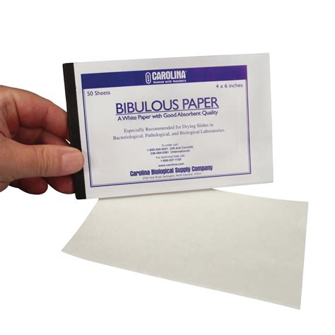 Bibulous Paper, 4 x 6 in, 50 Sheets | Carolina.com