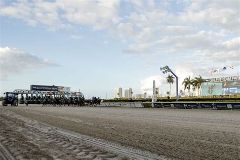 Florida Derby 2023: Post time, live stream, TV channel, horses racing ...