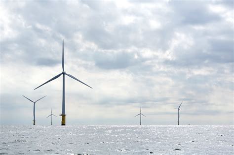 Oito países concordam em multiplicar produção de energia eólica no Báltico