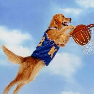 Air Bud - Rotten Tomatoes