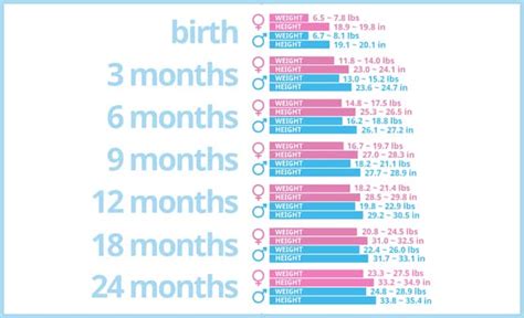 Baby Growth Chart - Medical Chart Help