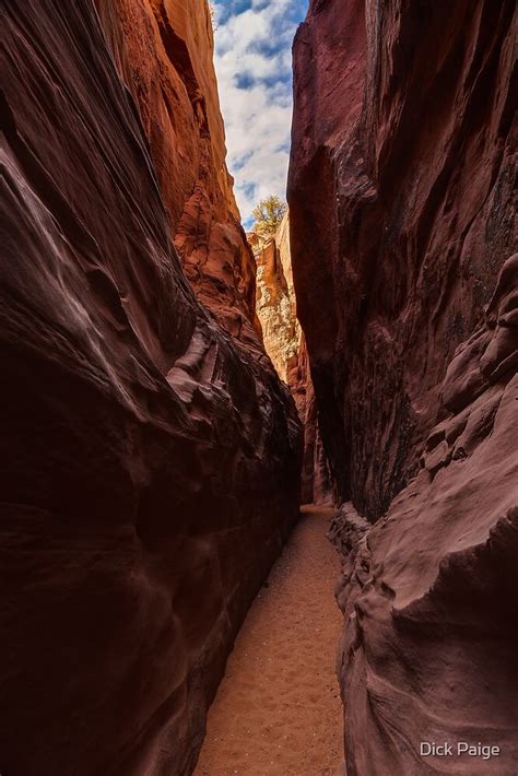 "Spooky Gulch Slot Canyon" by Dick Paige | Redbubble