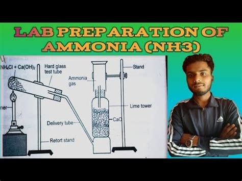 Lab preparation of Ammonia gas (NH3)||Some gases ⛽||Class-10 Science ...