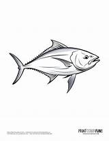 140 Free Fish coloring Pages color Clipart Swim Through A Sea Of  sketch template