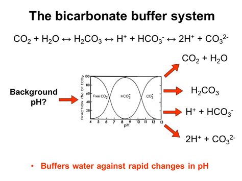 Lecture Goals To review how pH and alkalinity work. - ppt video online ...