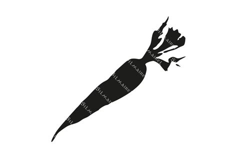 Carrot vegetable simple silhouette contour vector art