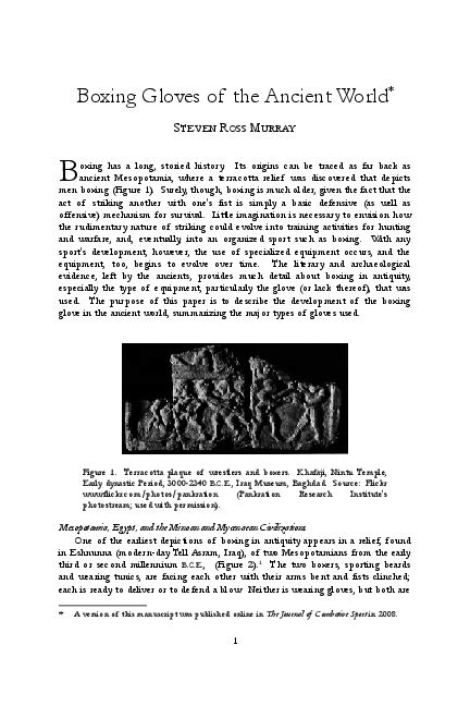 (PDF) Boxing Gloves of the Ancient World | Steven Ross Murray - Academia.edu