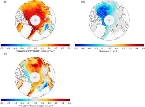 Polar projection of the trend in each grid box (0.125 • × 0.125 • )... | Download Scientific Diagram