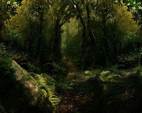 Mystical forest, Forest art, Art