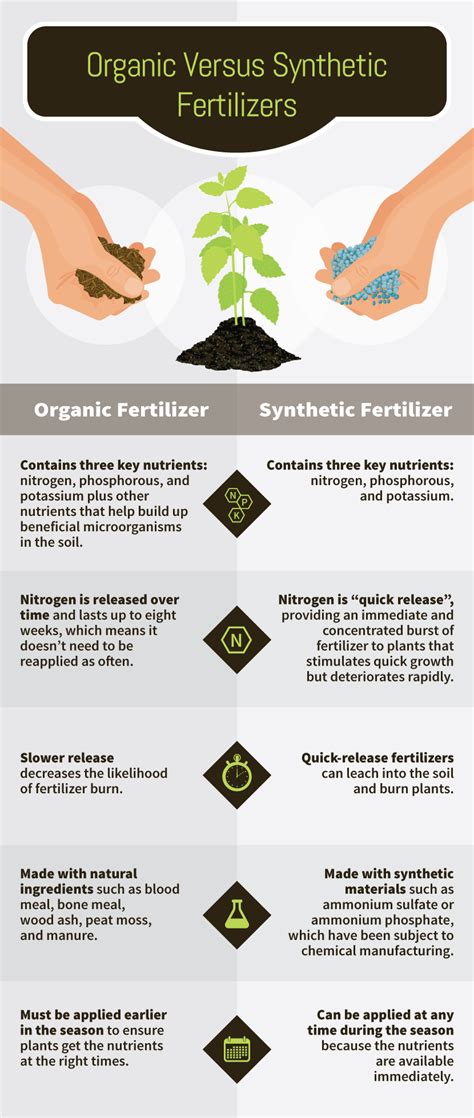 Making Your DIY Organic Fertilizer and The Benefits