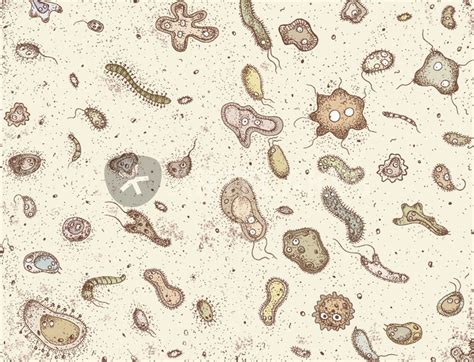 Image result for microbes art | Microbes art, Microbiology wallpaper ...