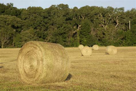 Baling Hay | The Vintage Lens