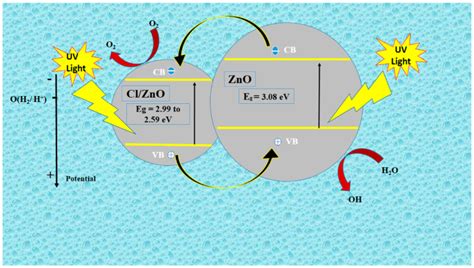 Molecules | Free Full-Text | ZnO Nanostructures Doped with Various Chloride Ion Concentrations ...